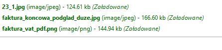 Opcja Edytuj zaznaczone spowoduje ukazanie się poniższego okna: 12. Legenda ikon: Dokument został już wyeksportowany.