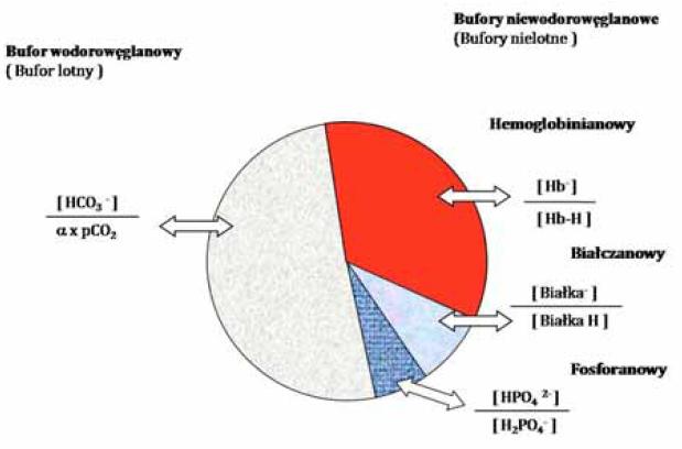 Układy buforowe krwi Bufor roztwór słabego kwasu i soli tego kwasu z mocną zasadą, lub
