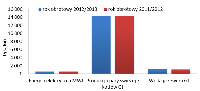 Struktura produktowa przychodów zewnętrznych Segmentu Energetyka Wyszczególnienie 1 lipca 2012 roku 30 czerwca 2013 roku Struktura 1 lipca 2011 roku 30 czerwca 2012 roku Główne produkty handlowe