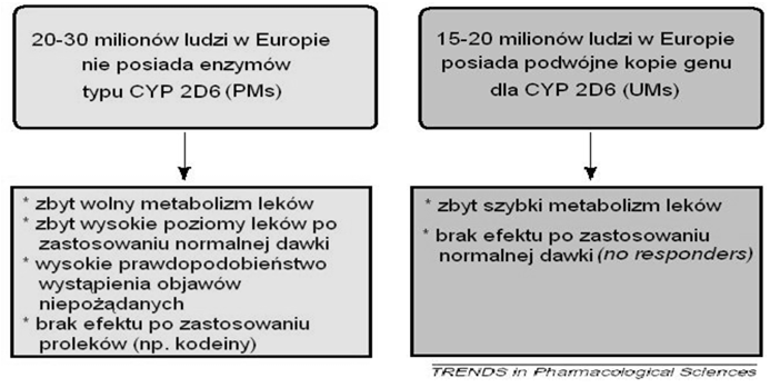 Przejawem tego jest rozróżnieniew populacji generalnej pewnego odsetka ludzi: wolniej(poor metabolizers) lub szybciejmetabolizujących (Ultrarapid metabolizers), Skutki występowania w populacji