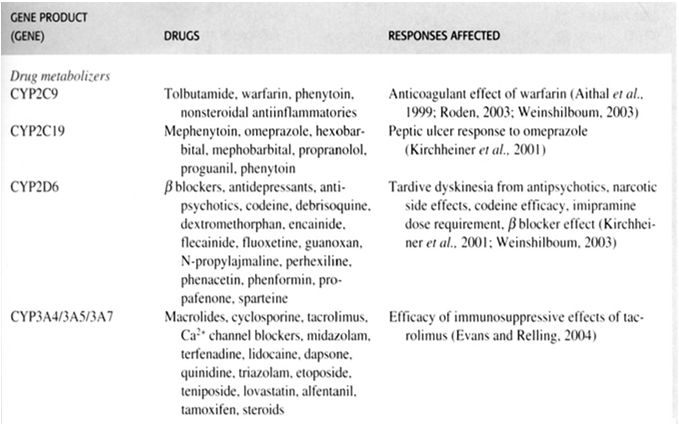 Wskazania i objawy uboczne leków metabolizowanych przez NAcetyltransferazy CHOROBY CYWILIZACYJNE ZWIAZANE Z PROFILEM GENETYCZNYM, choroby naczyń wieńcowych nadciśnienie nowotwory cukrzyca otyłość