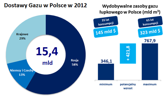 Dane o emitencie Rosnące zapotrzebowanie na gaz w Polsce oraz znaczące uzależnienie od importu gazu ziemnego uzasadniają konieczność zwiększenia krajowej produkcji gazu, także ze względu na
