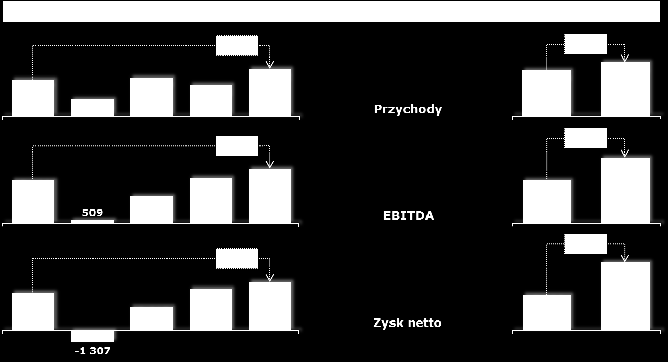 1. Komentarz Zarządu do dokonań Grupy Kapitałowej 1.1. Komentarz Zarządu dotyczący wyników finansowych W 2013 r. Grupa Atende wypracowała najlepsze wyniki roczne w swojej historii.