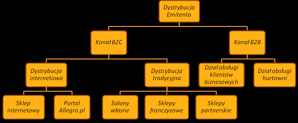 struktury przychodów Spółki w przyszłości. 4.12.1.4 Kanały dystrybucji produktów i usług W toku prowadzonej działalności InwazjaPC S.A.