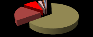 Wykres nr 5: Korzystanie z Internetu w 2009r. w GCI w Mszczonowie, 2009r.