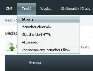 Opcje Aktywny -- Kolejny ze sposobów aktywacji lub dezaktywacji strony. Wyświetl w menu -- Aby strona była dostępna (aktywna), ale nie pojawiała się w menu.