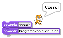 Niestety, często próbuje się w tym celu wykorzystywad tradycyjne, ale jednocześnie anachroniczne, środowiska programistyczne (np. Logo).