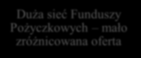 Polska oferta finansowania zwrotnego Dobrze rozwinięta oferta bankowa nowe produkty Duża sieć Funduszy Pożyczkowych mało