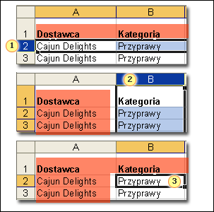 Dziel i zdobywaj Aby tytuły były zawsze widoczne, podziel arkusz, blokując tytuły w ich własnym okienku.