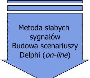 badanych projetach foresightu Warsztaty Burza mózgów Budowa scenariuszy Tworzenie mapy setora Budowa obrazu setora przybrzeżnego oraz oreślenie priorytetowych ierunów jego rozwoju (odnawialne źródła