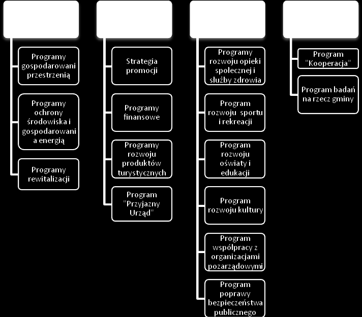 skuteczne środki do realizacji tego celu. Istniejące dokumenty o takim charakterze mają w nazwie termin strategia, program lub plan. Cel programu to cel szczegółowy strategii.