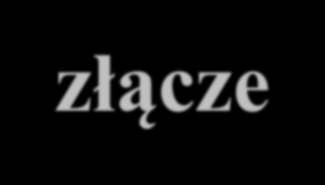 Karta sieciowa - złącze Na karcie sieciowej znajduje się złącze dla medium transmisyjnego.