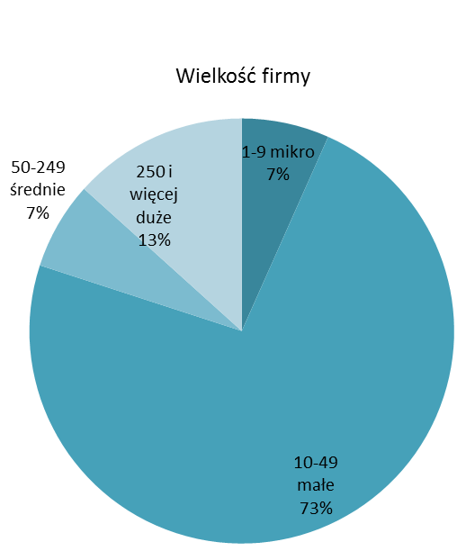 Wyniki wywiadu podstawowego: pracodawca programów on-line. Uważają, że zlecenie rekrutacji na zewnątrz firmy byłoby dopuszczalne wyłącznie w ostateczności.