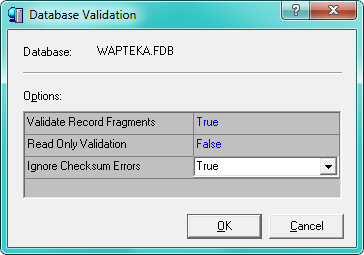 Rys. 5. Okno programu po zarejestrowaniu bazy danych Do naprawy bazy danych używa się funkcji walidacji (ang. validation).