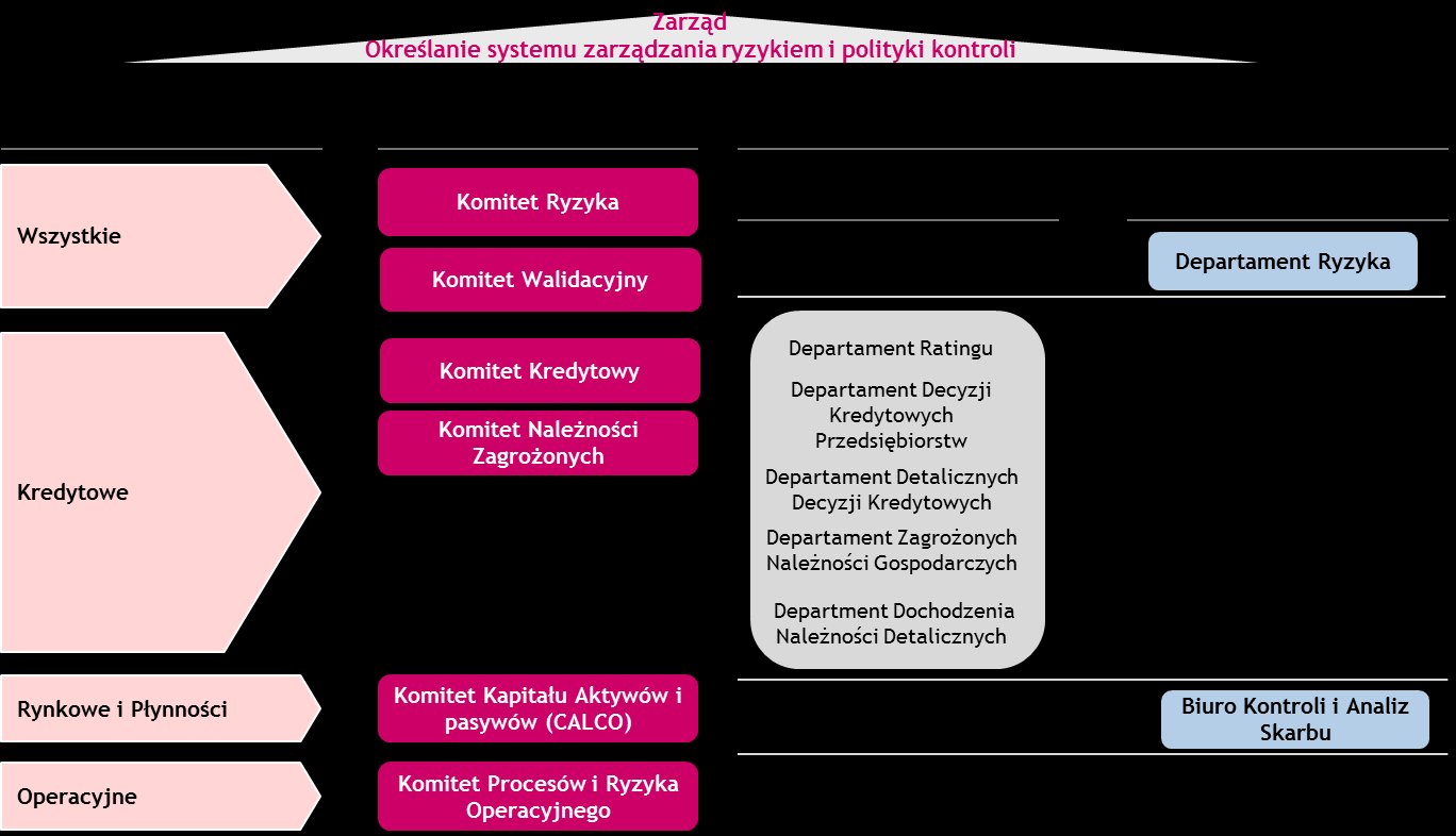 29 Na poziomie operacyjnym, ze względu na złożoność i zróżnicowanie działalności Grupy, funkcja zarządzania ryzykiem jest obsługiwana przez wyspecjalizowane komitety z kompetencjami określonymi przez