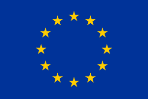 31.01.2013 r. Lista najczęściej zadawanych pytań Decyzja w sprawie wzajemnego uznawania wydana przez UE i Stany Zjednoczone Dnia 4.05.2012 r.