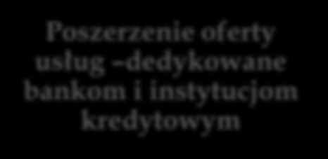 Model biznesowy i cele strategiczne Współpraca z sieciami reklamowymi oraz domami mediowymi, dokonując za ich pośrednictwem zakupów mediów.