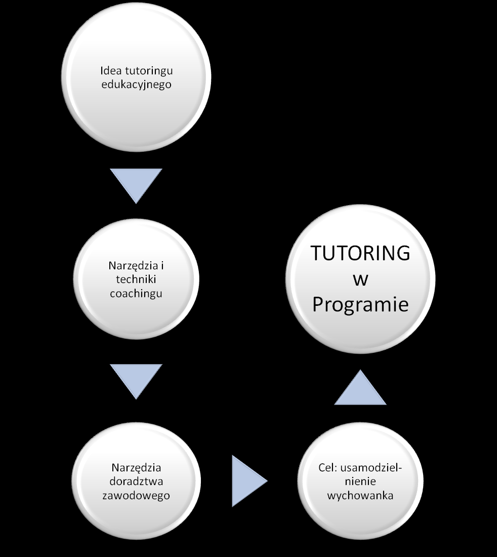 Model pracy indywidualnej tutora oraz wychowanka jest inny od tych stosowanych przez szkoły czy uczelnie wyższe.