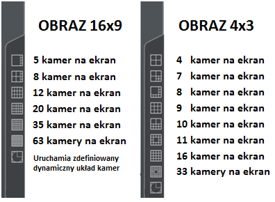 CMS PROFESSIOANL MANUAL Ikony na dole okna przedstawiają status dostępnych kamer i kanałów audio. Każda ikona składa się z numeru kamery/kanału i nazwy.