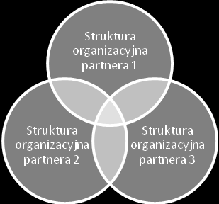 Mówiąc o strukturze partnerstwa, należy wspomnieć o kilku oczywistych kwestiach. Każdy partner powinien mieć swoją, ściśle określoną rolę w projekcie.