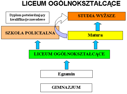 Wykres 3.2. Schemat kształcenia na podbudowie liceum ogólnokształcącego Źródło: B. Ignaczak ;Gimnazjum i co dalej?, http://www.koweziu.edu.pl/edukator Wykres 3.3. Licea ogólnokształcące według powiatów w województwie wielkopolskim w 2005 roku 20 liczba szkół 48 15 10 5 0 GRODZISK W.