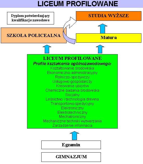 Rysunek 3.3. Schemat kształcenia na podbudowie liceum profilowanego Źródło: B. Ignaczak ;Gimnazjum i co dalej?, http://www.koweziu.edu.pl/edukator Wykres 3.4.