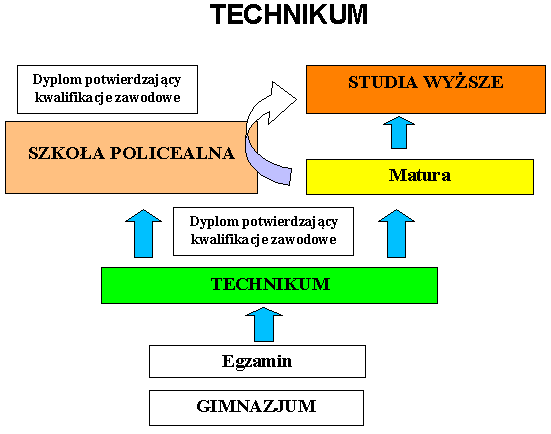 Rysunek 3.4. Schemat kształcenia na podbudowie technikum Źródło: B. Ignaczak ;Gimnazjum i co dalej?, http://www.koweziu.edu.pl/edukator Wykres 3.6.