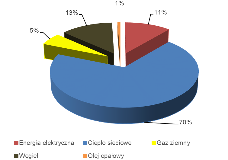 przeprowadzono jak dotąd żadnych działań prowadzących do poprawy efektywności energetycznej, bądź ww. działania zostały przeprowadzone częściowo.