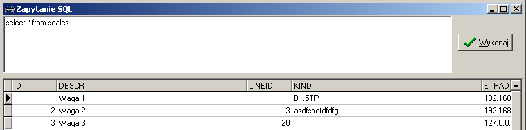 za połączenie w trakcie działania programu. Program Viewer umoŝliwia wykonywanie poleceń zapisanych w języku SQL (okno zapytania schowane pod klawiszem F5).