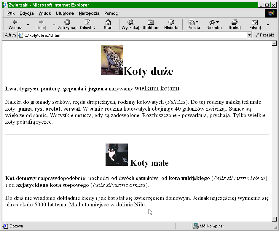 Definiowanie połączenia do innej strony Zaopatrzony we wstępne informacje na temat tworzenia połączeń możesz spróbować utworzyć połączenie prowadzące ze strony głównej do innego dokumentu html.