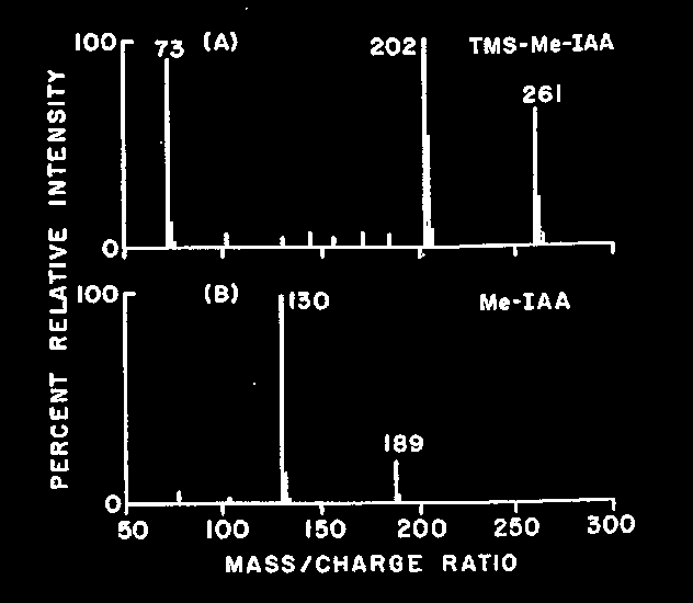 Interpretacja obecności w widmie jonów o m/z = 189 i 261 Masa cz.