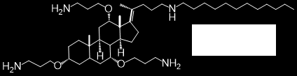 KMUIKATY S04-K01 BACTERICIDAL ACTIVITY F CERAGEI CSA-131 Urszula Surel 1, Katarzyna iemirowicz 1, Paul B.