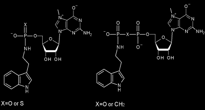 ormalized Intensity 0.9 0.8 0.7 0.6 0.5 0.4 0.3 0.2 0.1 0-0.1 fid.