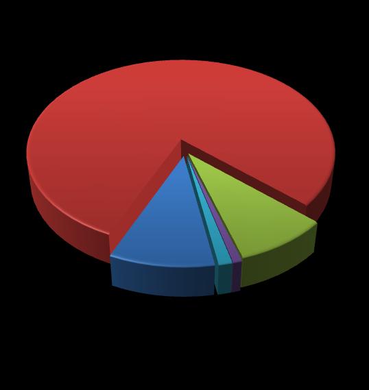 9 Struktura branżowa przychodów 2013 Struktura branżowa przychodów 2012 Maszyny dla rynku ropy i gazu 79,8% Maszyny dla rynku ropy i gazu 76,6% Maszyny dla górnictwa i energetyki