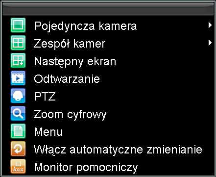 PTZ: wywołanie trybu sterowania kamerą obrotową. Zoom cyfrowy: powiększenie cyfrowe (digital zoom). Menu: wywołanie menu głównego rejestratora.