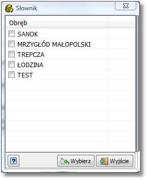 Kolejnym ze standardów stosowanym w programie są wartości słownikowe. Obsługiwane są przez formularz o charakterystycznym wyglądzie.