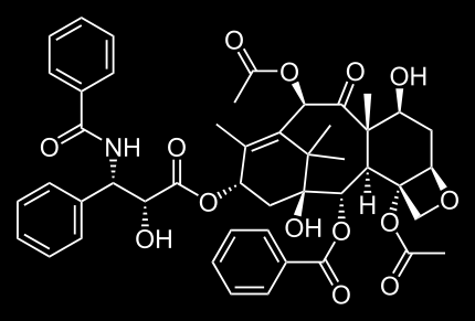 PACLITAXEL Chemoterapeutyk, jedna z