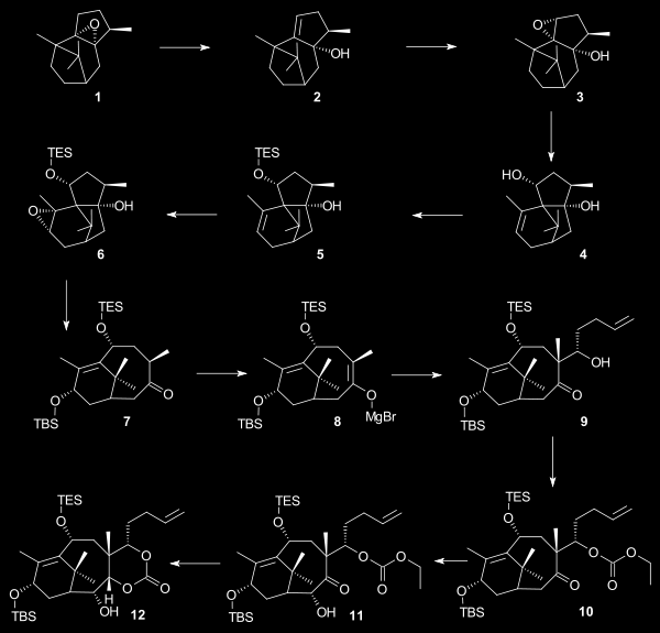 PACLITAXEL synteza chemiczna Robert A.