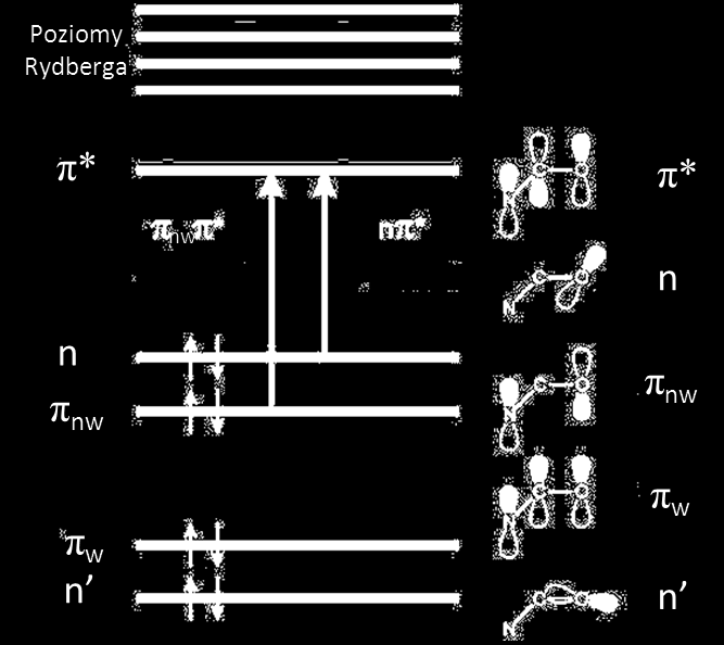 METODY BADAWCZE W spektrometrach CD polaryzację eliptyczną fali uzyskuję się dzięki zastosowaniu modulatora fotoelastycznego.