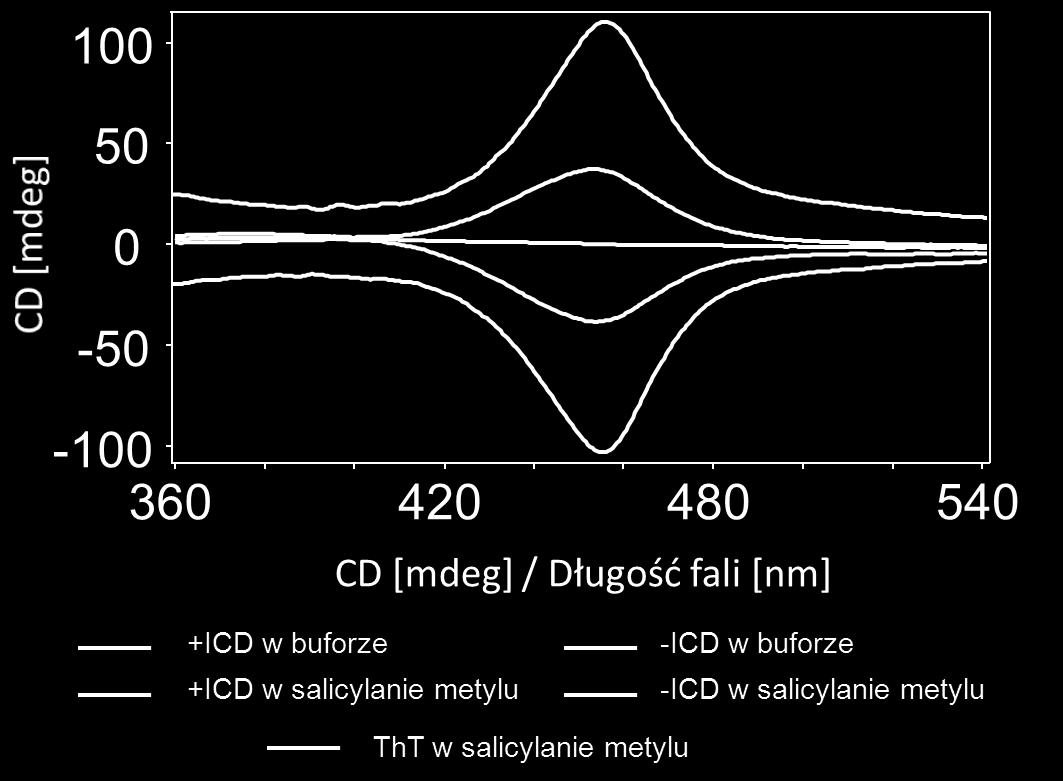 BADANIA WŁASNE I DYSKUSJA UZYSKANYCH WYNIKÓW Rys. 52 Widma ICD-ThT dla chiralnych agregatów w roztworze wodnym oraz w salicylanie metylu oraz kontrolne widmo tioflawiny T w salicylanie metylu.