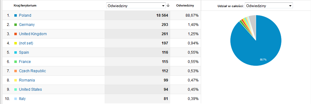 Raport ogólny strony www.itspolska.pl (lipiec 2012 - kwiecień 2013 r.) źródło: Google Statistic Odwiedzający strony www.