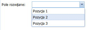 2) Pole Treści pole tego typu umożliwia wpisanie przez użytkownika dłuższego tekstu.