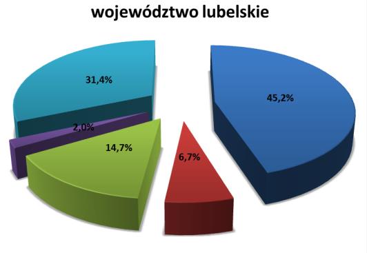 105 W porównaniu do województwa lubelskiego powiat biłgorajski charakteryzuje się wyższym poziomem przestępstw drogowych (różnica 9 punktów procentowych) oraz przestępstw przeciwko życiu i zdrowiu.