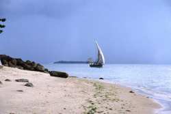 Na koniec Człowiek Motyl, który zaskoczy największych malkontentów. Stone Town Kamienne Miasto, nieformalna nazwa stolicy Zanzibaru.