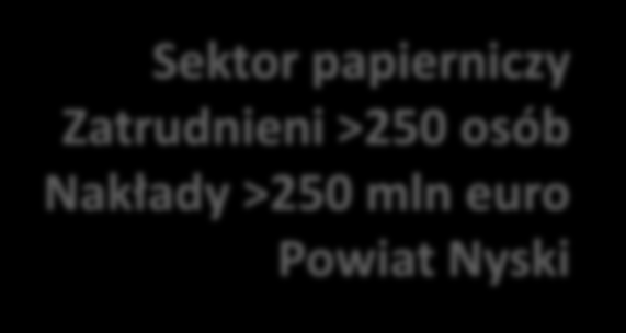 motoryzacyjny Zatrudnienie 800/1000 Nakłady ~500 mln euro Katowicka SSE