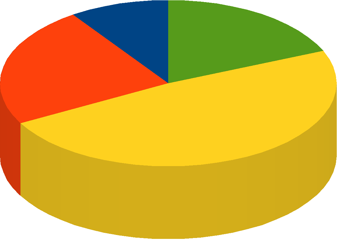 Wiek klientów: % 9% 5% 5% 3% -5 lat -35 lat 3-5 lat -55 lat powyżej 5 lat Klientami naszych biur były w większości osoby powyżej 5 roku życia oraz pomiędzy a 55 rokiem życia.