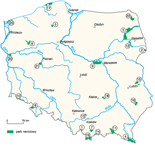 Mapa Parki narodowe w Polsce konkurs Skarby polskich parków narodowych 1. Babiogórski 2. Białowieski 3. Biebrzański 4. Bieszczadzki 5. Bory Tucholskie 6. Drawieński 7. Gorczański 8. Gór Stołowych 9.