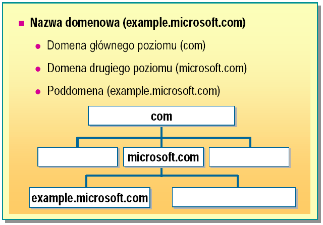 DNS DNS DNS spoofing Jest to atak na serwer DNS, który posiada bazę danych przechowującą numery IP dla poszczególnych adresów; Atak polega na ingerencji w tablicę i modyfikację poszczególnych wpisów