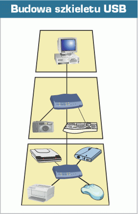 USB (Universal Serial Bus) Praca w sieci Jedną z ważniejszych cech portu USB jest zgodność z Plug and Play. Urządzenia w tym standardzie można łączyć ze sobą tworząc sieć.