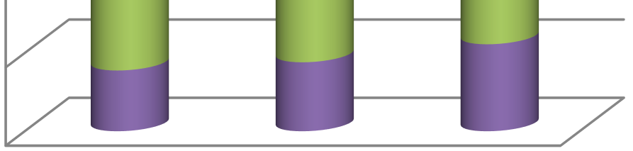 2.4. Kapitały i zobowiązania Kapitał własny na dzień 31.03.2012 roku wynosił 131.436 tys. PLN, co oznacza wzrost o 8,4% w porównaniu z dniem 31.03.2011 roku; kapitał własny stanowił 36,9% pasywów ogółem.